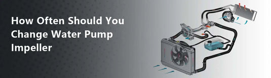 How Often Should You Change Water Pump Impeller