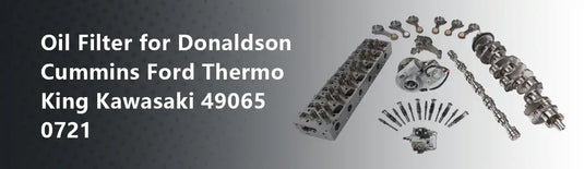 Oil Filter for Donaldson Cummins Ford Thermo King Kawasaki 49065 0721