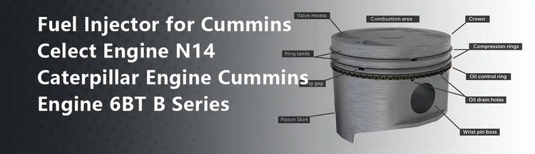 Fuel Injector for Cummins Celect Engine N14 Caterpillar Engine Cummins Engine 6BT B Series