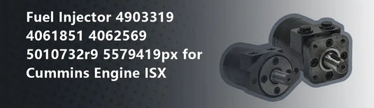 Fuel Injector 4903319 4061851 4062569 5010732r9 5579419px for Cummins Engine ISX