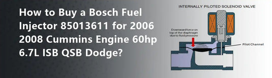 How to Buy a Bosch Fuel Injector 85013611 for 2006 2008 Cummins Engine 60hp 6.7L ISB QSB Dodge?