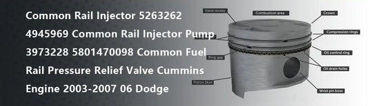 Common Rail Injector 5263262 4945969 Common Rail Injector Pump 3973228 5801470098 Common Fuel Rail Pressure Relief Valve Cummins Engine 2003-2007 06 Dodge
