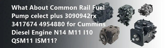 What About Common Rail Fuel Pump celect plus 3090942rx 3417674 4954880 for Cummins Diesel Engine N14 M11 I10 QSM11 ISM11?