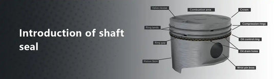 Introduction of Shaft Seal