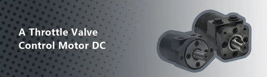 Measuring on A Throttle Valve Control Motor DC