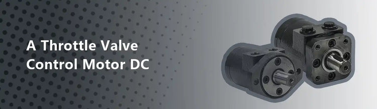 Measuring on A Throttle Valve Control Motor DC