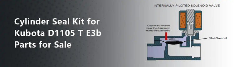 Cylinder Seal Kit for Kubota D1105 T E3b Parts for Sale