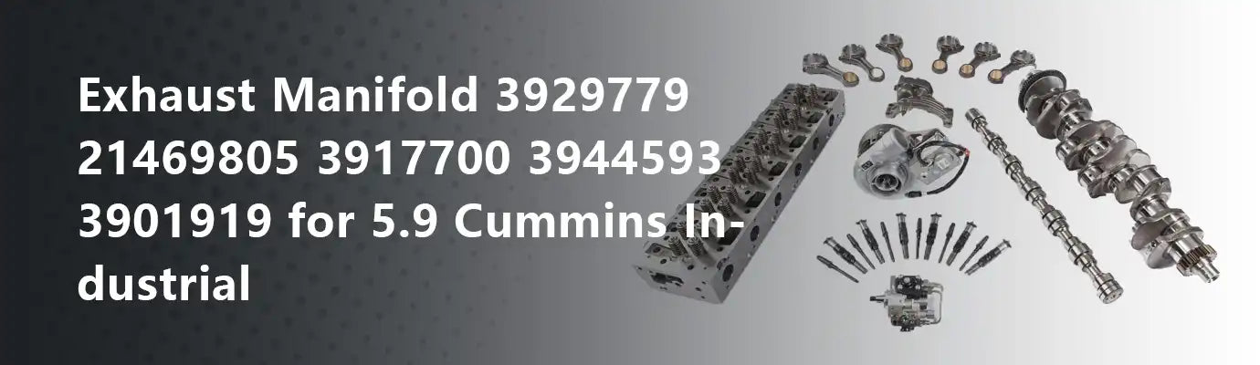 Exhaust Manifold 3929779 21469805 3917700 3944593 3901919 for 5.9 Cumm ...