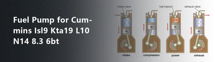 Fuel Pump for Cummins Isl9 Kta19 L10 N14 8.3 6bt