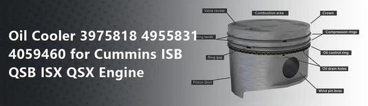 Oil Cooler 3975818 4955831 4059460 for Cummins ISB QSB ISX QSX Engine