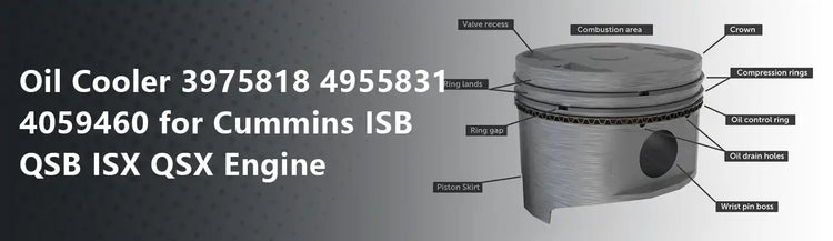 Oil Cooler 3975818 4955831 4059460 for Cummins ISB QSB ISX QSX Engine