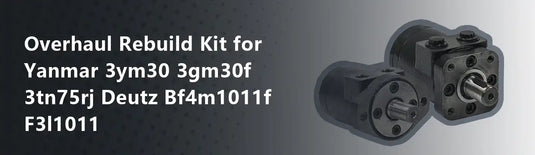 Overhaul Rebuild Kit for Yanmar 3ym30 3gm30f 3tn75rj Deutz Bf4m1011f F3l1011