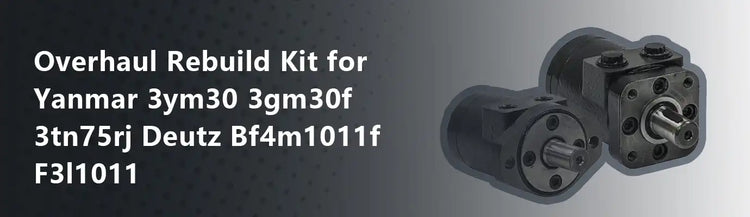 Overhaul Rebuild Kit for Yanmar 3ym30 3gm30f 3tn75rj Deutz Bf4m1011f F3l1011
