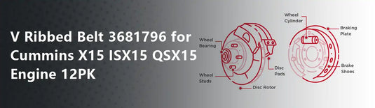 V Ribbed Belt 3681796 for Cummins X15 ISX15 QSX15 Engine 12PK