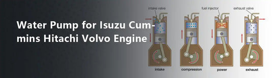 Water Pump for Isuzu Cummins Hitachi Volvo Engine