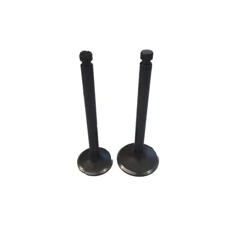 Load image into Gallery viewer, 1 Set of Intake and Exhaust Valves for Yanmar 3T84-1 Engine - Engine Parts &gt; Engine Valve Train Parts &gt; Intake and Exhaust Valve from MyMROmarts
