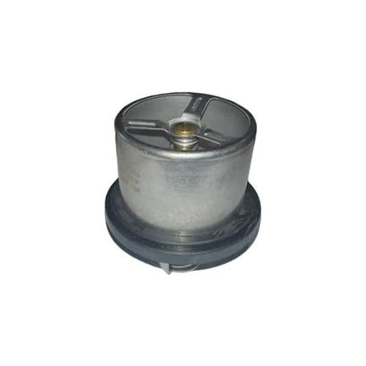 2 Piece kit Thermostat Regulator 4W4011 1209453 170 Degree For Caterpillar CAT 3406E C15 C16 C18 3400 engine from MyMROmarts