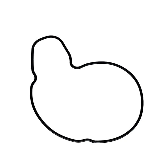 Engine Water Pump 6671508 6631810 For Skid Steer Loader Bobcat 843 853 1213 from MyMROmarts