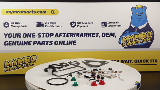 Injection Pump Repair Kit 7135-110 for David Brown